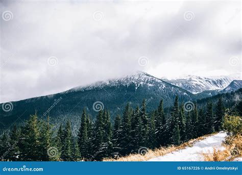 Winter Landscape in the Carpathian Forest Stock Photo - Image of ...