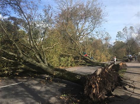 Storm Ophelia Damage, 16 October 2017 | Lord Mayor of Cork Cllr. Kieran McCarthy