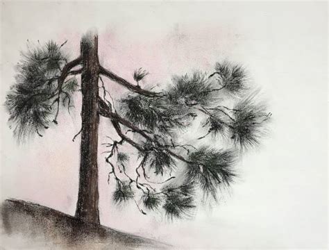 PINE TREE STUDY Drawing by Ksenia Lutsenko | Saatchi Art