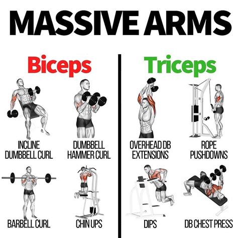 Pin by fit here on fit | Bicep and tricep workout, Big biceps workout ...