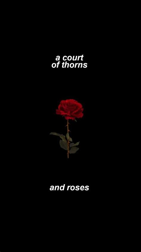 A Court of Thorns and Roses Wallpapers - Top Free A Court of Thorns and ...