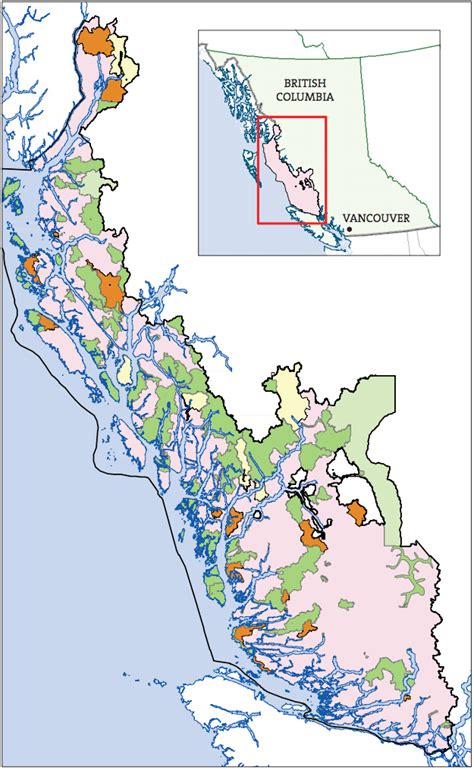 BC's Great Bear Rainforest protected in historic agreement | Daily Hive Vancouver