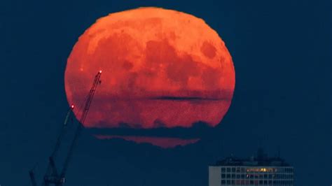 September's harvest moon: What to know | FOX 26 Houston