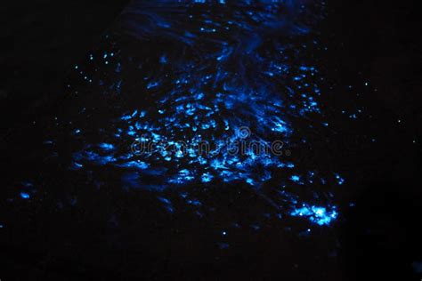 Beautiful Blue Lights Emitted from Sea Firefly or Vargula Hilgendorfii Stock Photo - Image of ...