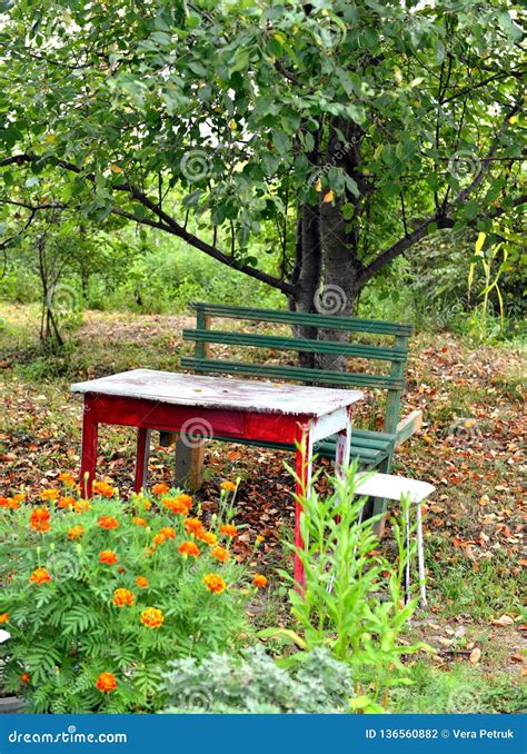 Wooden Table and Bench with Autumn Flowers in the Old Garden Stock Photo - Image of blooming ...