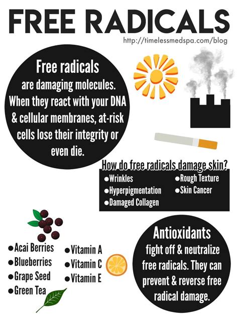 FREE RADICALS Infographic - Everything you need to know about free radical damage // TimeLess ...