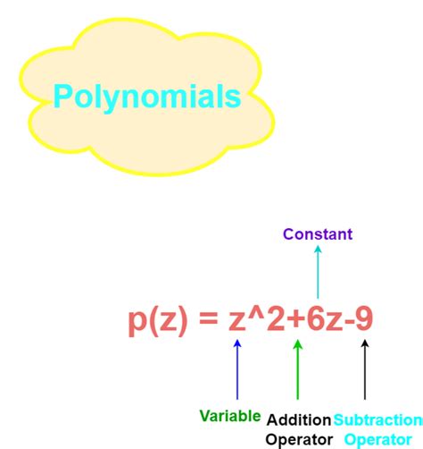 Polynomials (Definition, Types and Examples) - HubPages