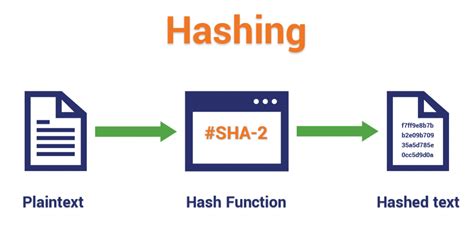 Diferencia entre Hashing y Salting