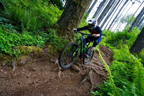 Capitol Forest Mountain Bike Trail in Olympia, Washington || SINGLETRACKS.COM