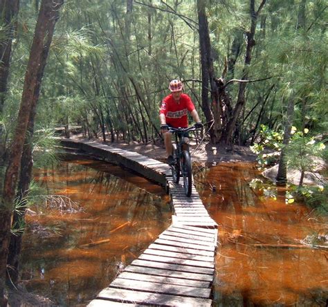 Oleta River State Park photo || SINGLETRACKS.COM