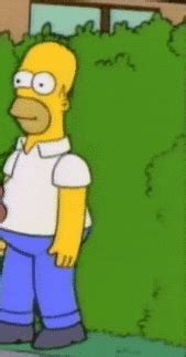 GIF Homer Simpson Meme | Morsodifame Blog