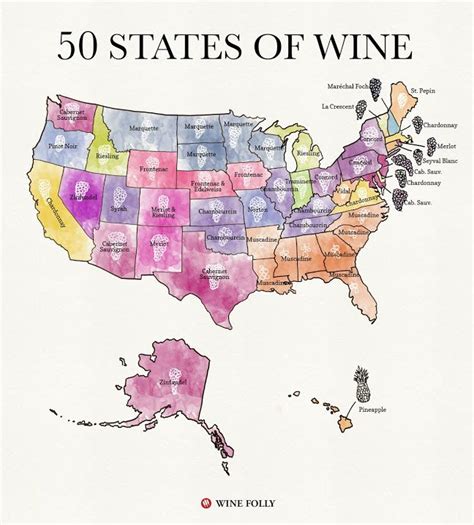 wine map / carte vin – 50 states of wine, in USA | Vinos, Viñedos, Vino