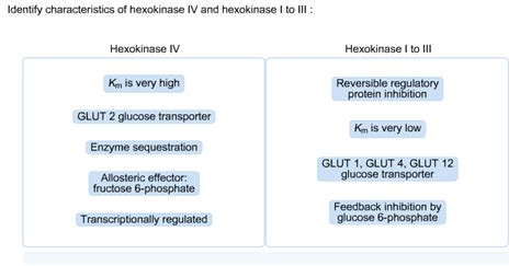 (Get Answer) - Identify characteristics of hexokinase IV and hexokinase I to III...| Transtutors