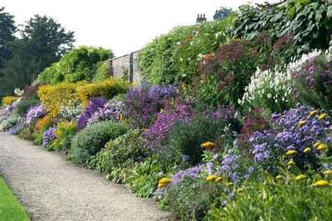 Designing a Herbaceous border | Perennials, Vegetable garden planning ...