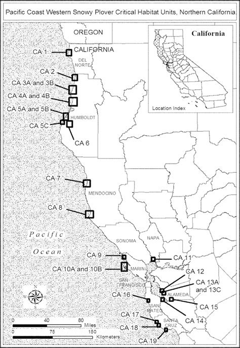 Revised Critical Habitat for the Pacific Coast Western Snowy Plover ...