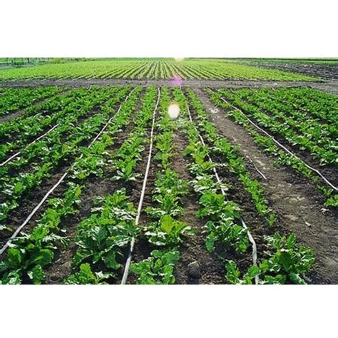 20% Off! @ 400 Green Vegetables Drip irrigation package – Drip ...