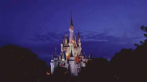 Disney World Castle Zoom Background