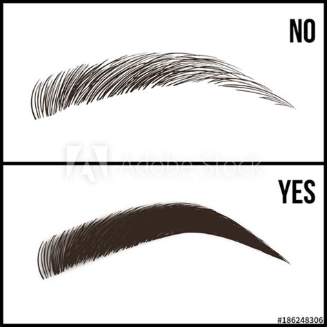 Eyebrow Vector at Vectorified.com | Collection of Eyebrow Vector free ...