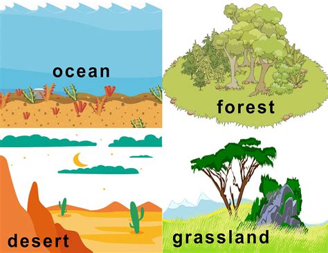 FREE Animal Habitat Flashcards | Animal habitats, Habitats, Habitats projects