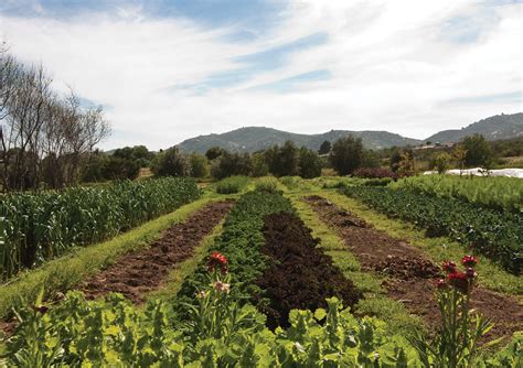 Discovering Regenerative Farming - Rancho La Puerta