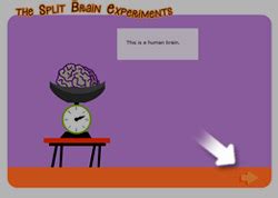 The Split Brain Experiments - Credits