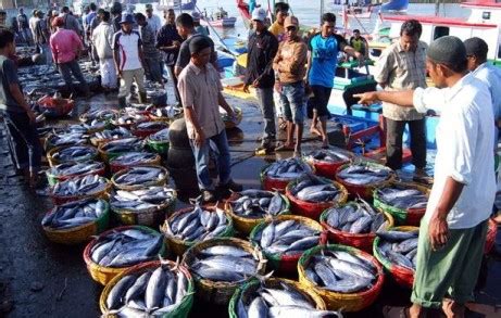 Tempat Bakar Ikan Di Muara Angke - Ikan Bakar Sinar Muara Angke Restoran Seafood - Vinnie Adams