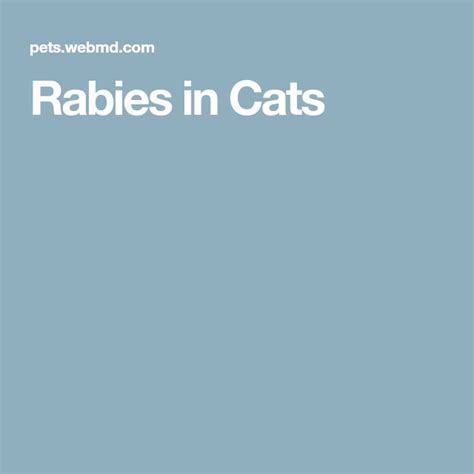 Rabies in Cats | Cats, Pet corner, Pets