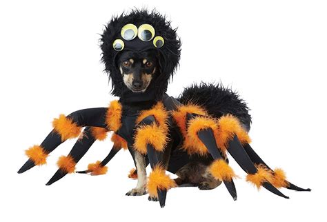 10 Best Dog Halloween Costumes: Best Costumes For Dogs