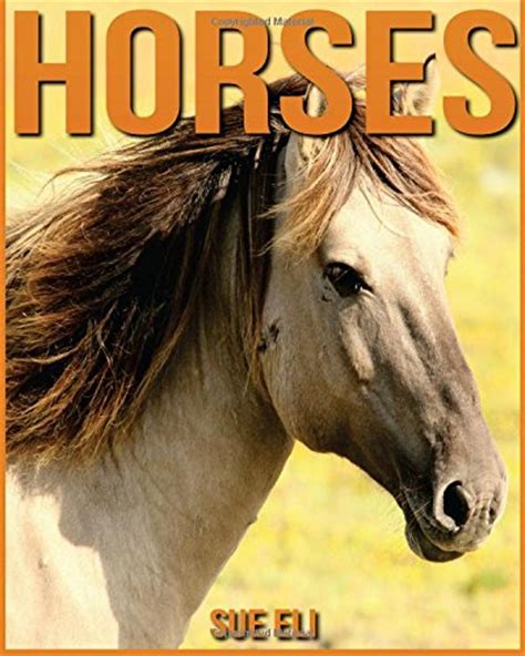 Tips For How To Care For A Horse - Nature Kingdoms