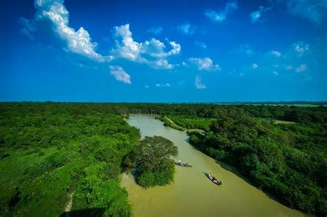 Ratargul Swamp Forest Sylhet - Travel Guide to Enjoy Ratargul