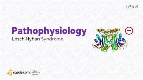 Lesch Nyhan Syndrome - Pathophysiology