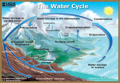 Biogeochemical Cycles and the Flow of Energy in the Earth System | Sustainability: A ...