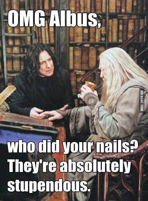 Harry Potter meme - Snape and Dumbledore | Funny | Pinterest | Snape ...