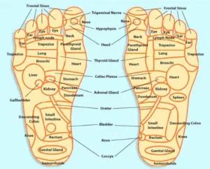 Acupuncture Points on Your Feet and Why We Use Them – East Boca Acupuncture