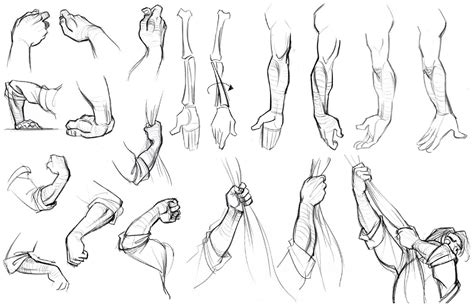 Academy of Art Character and Creature Design Notes: Hand Reference, Part Three Arm Drawing ...