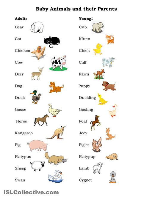 90 Names of Baby Animals and Their Parents - MyEnglishTeacher.eu Blog | Книги для дошкольников ...