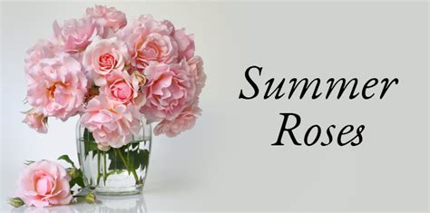 Summer Roses for National Rose Month - Walter Knoll Florist