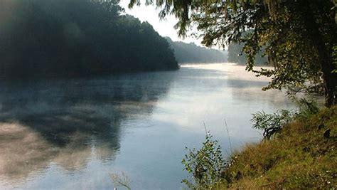 Savannah River Clean Water Fund: Conserving Land for Clean Water - Stewards of the Georgia Coast