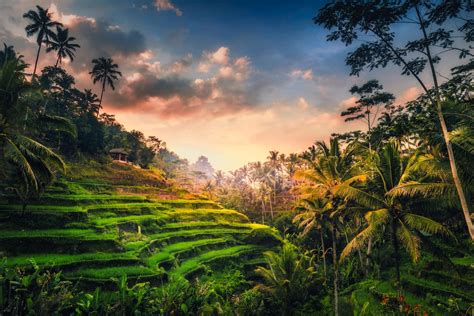 25 Unforgettable Things to Do in Ubud, Bali (2024 Guide)