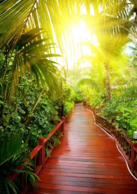 How to design a tropical-style garden - 3 key principles