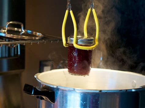 Boiling Water Bath and Pressure Canning - When to Use Which | Pressure ...