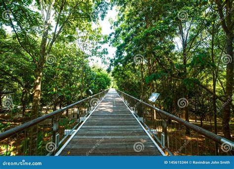 TAMAN BOTANI BOTANICAL GARDEN - PUTRAJAYA Editorial Stock Image - Image ...