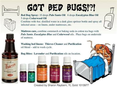 Bed Bugs | Essential oils | Pinterest | Bed bug control and Bug control