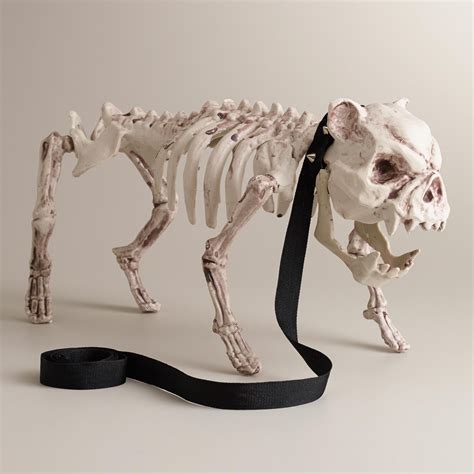 Dog Skeleton | World Market | Scary halloween decorations, Dog skeleton ...