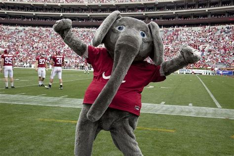 17 Best images about Mascots on Pinterest | Tampa bay buccaneers ...