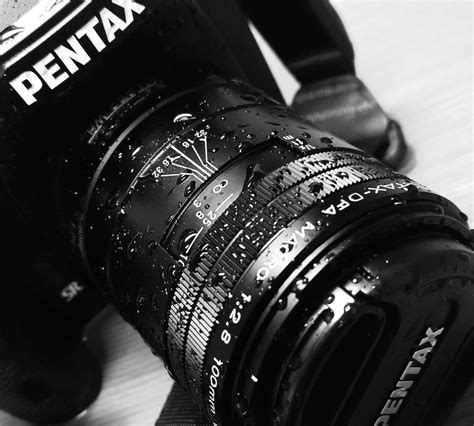 This Old Lens: Pentax 100mm f/2.8 WR Macro Lens Review – Another Look – Eric L. Woods