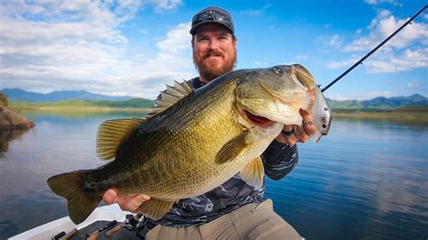 Giant Bass Everywhere!! Incredible Bass Fishing on Lake Baccarac! - YouTube