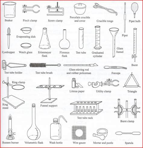 lab ware worksheet | Chemistry lab equipment, Lab equipment, Chemistry labs