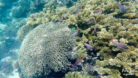 Mantigue Island: An Underrated Tropical Paradise in Camiguin - Tara ...