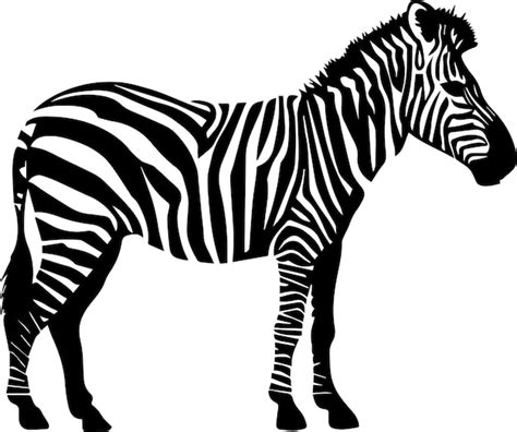 Premium Vector | A zebra vector silhouette illustration